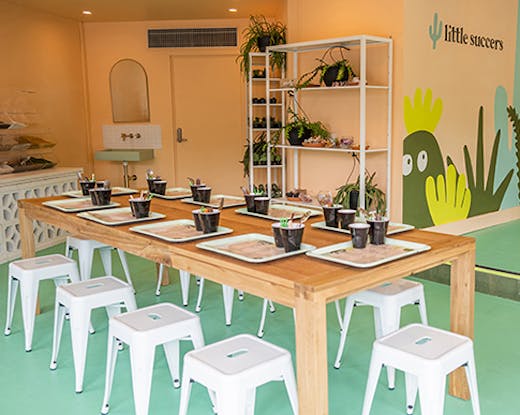 interior of succulent workshops