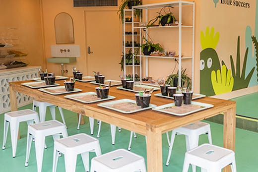 interior of succulent workshops