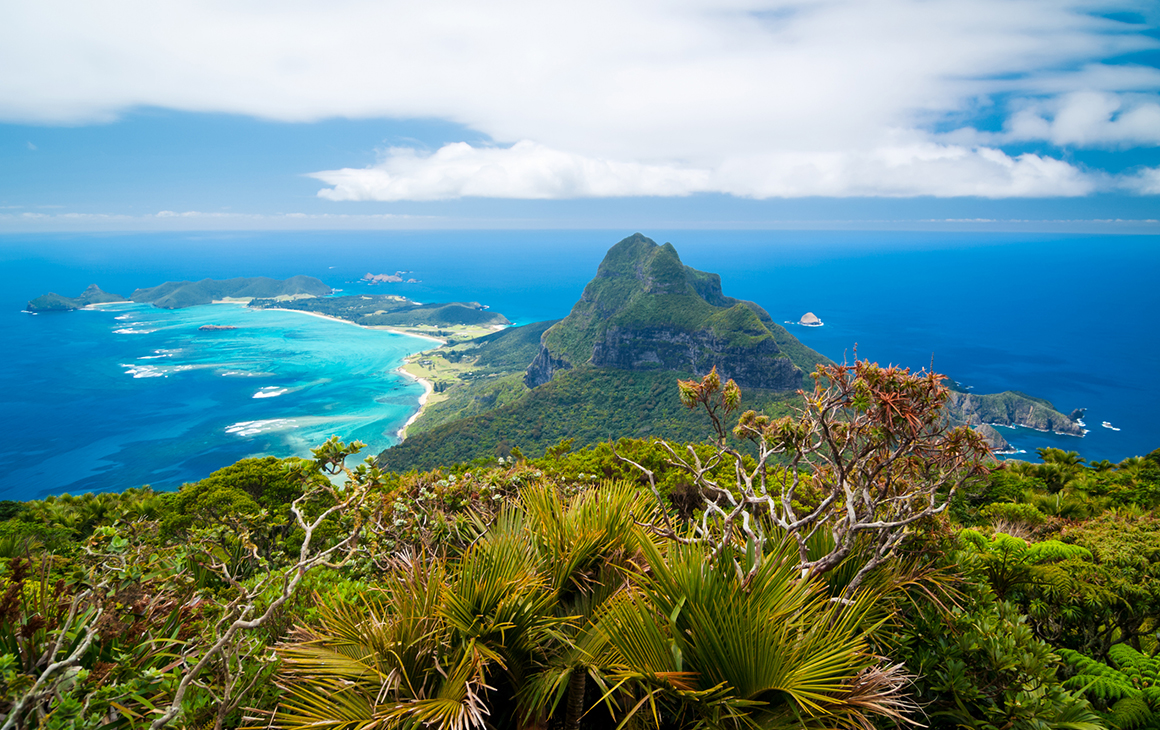 through a lush, green rainforest, is the tip of Lord Howe Island. Surrounded by azure waters.