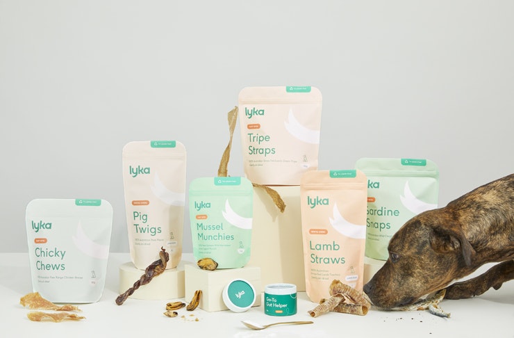 dog sniffing treats