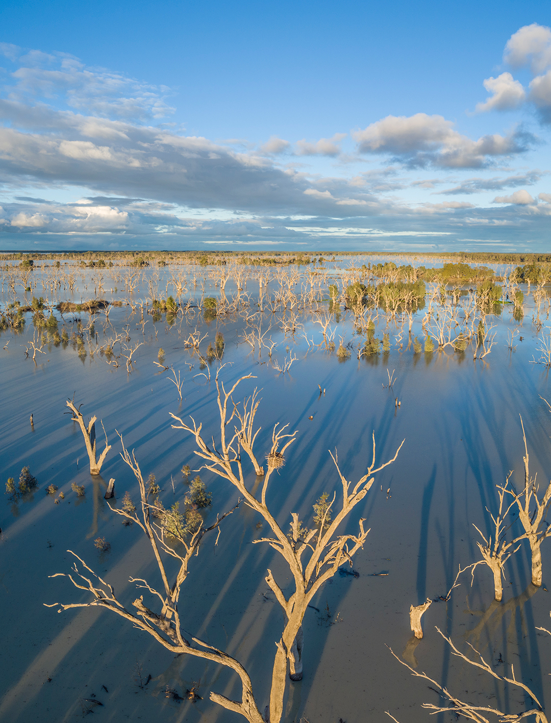 menindee lakes during the day