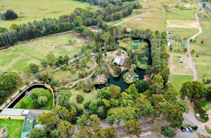 aerial of mogo zoo