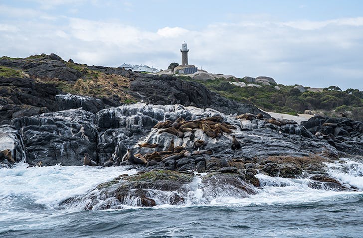 overcast day and tides lapping an Montague Island in NSW