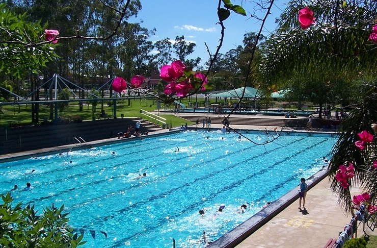outdoor swimming pool surrounded by trees