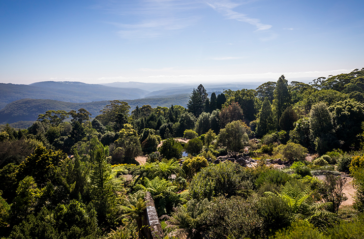 mount tomah view in the blue mountains