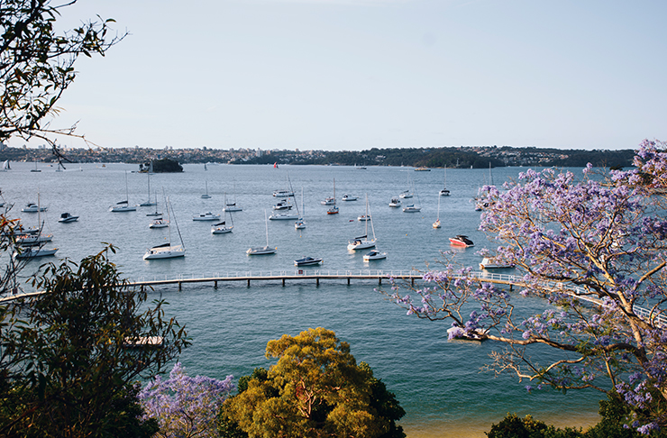 best sydney beaches murray rose pool red leaf beach