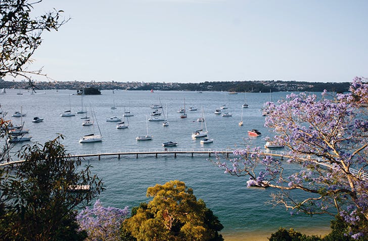best sydney beaches murray rose pool red leaf beach