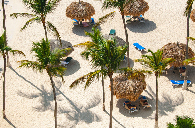 tropical beach with palm trees and people relaxing on deck chairs