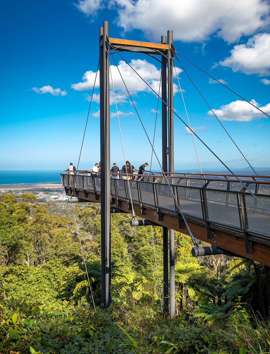 skywalk lookout at orara state forest 