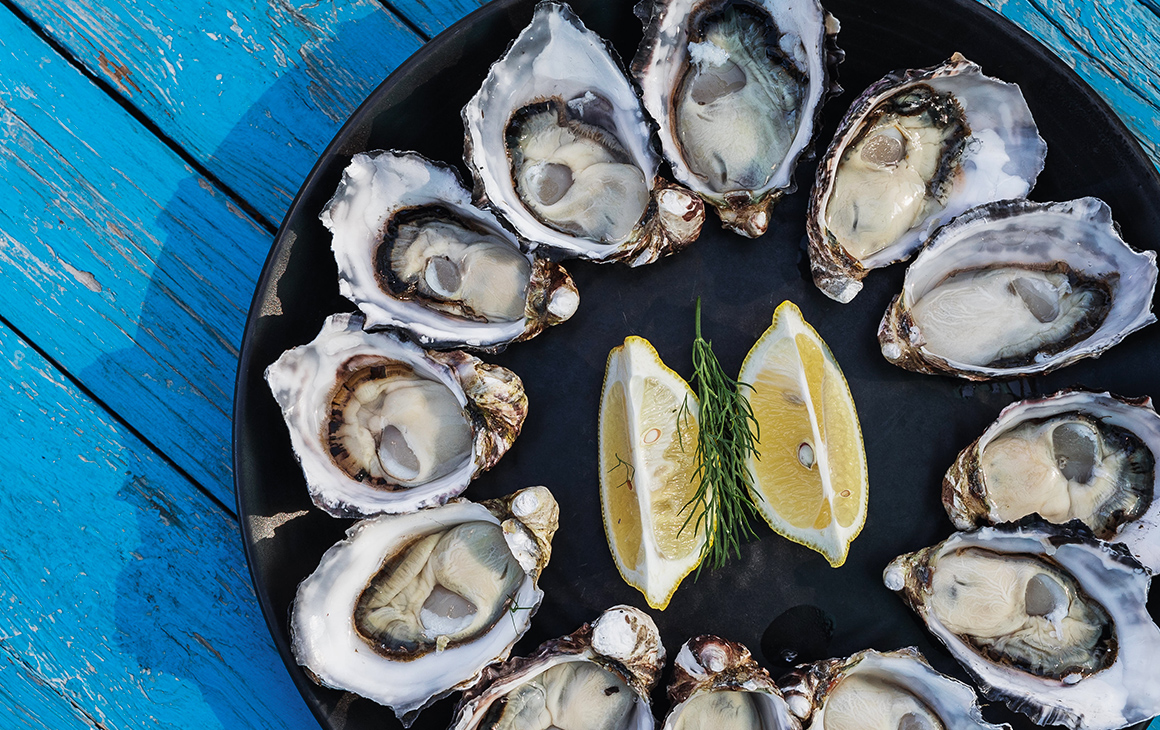 a plate of freshly shucked oysters on a blue painted table.