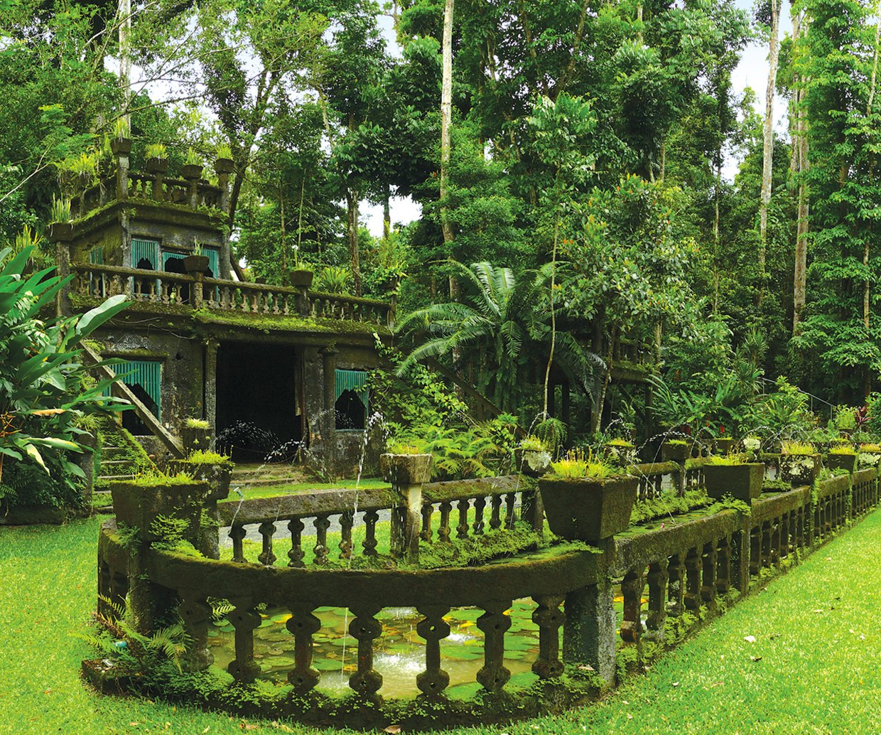 rainforest castle