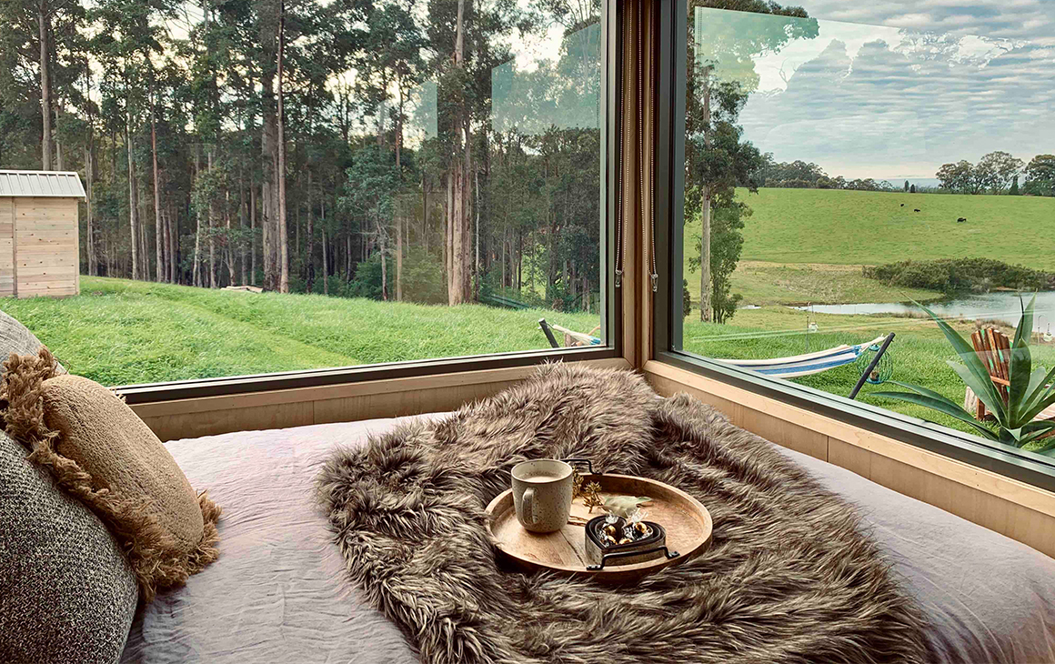 A bed overlooks framed by windows, looking out at the bush
