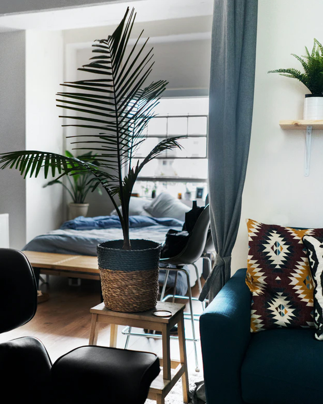 corner of studio apartment with modern furniture and a large indoor plant on a stool