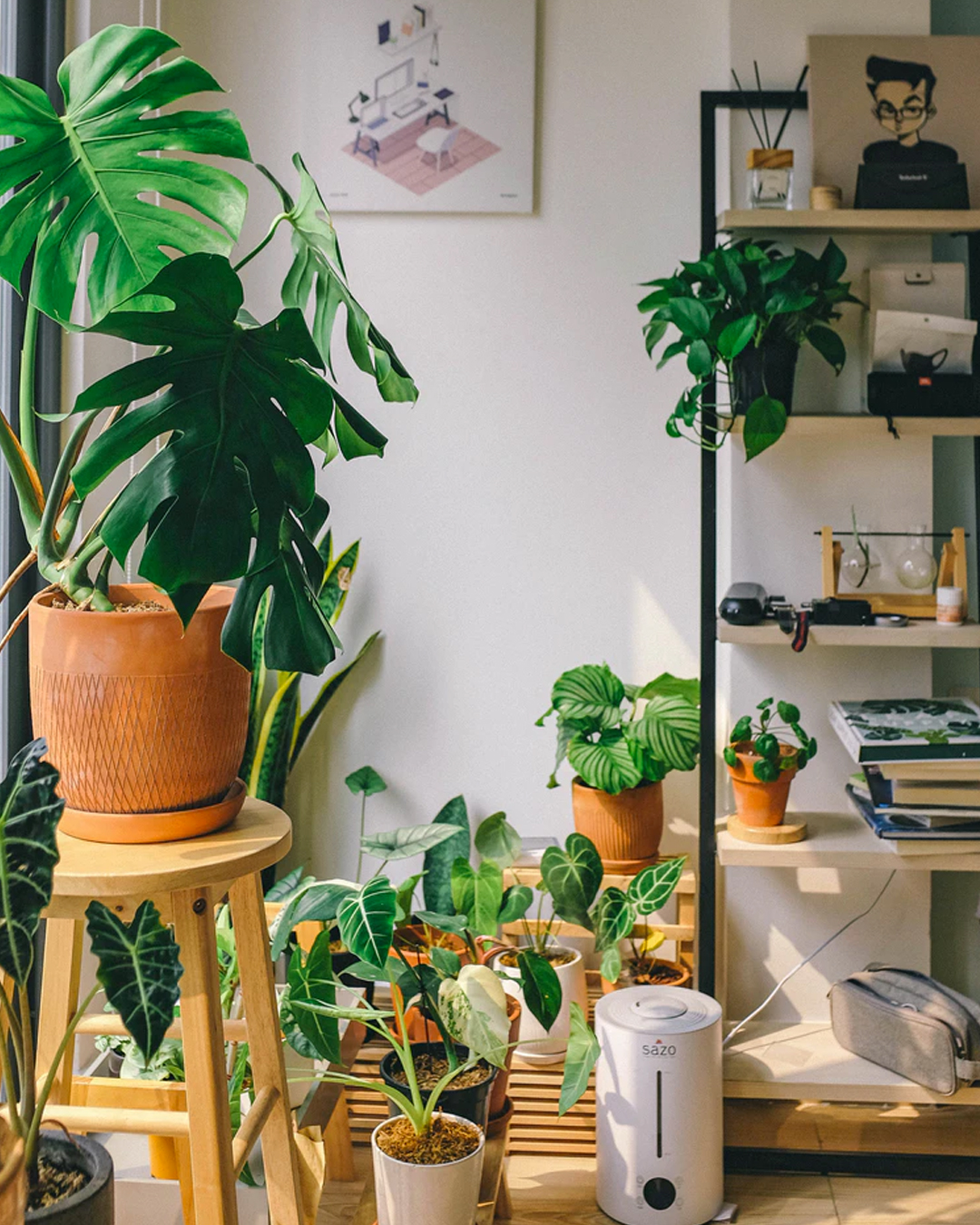 corner of room filled with lots of natural light and a bunch of indoor plants