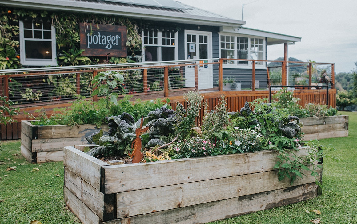 Guide to tweed coast