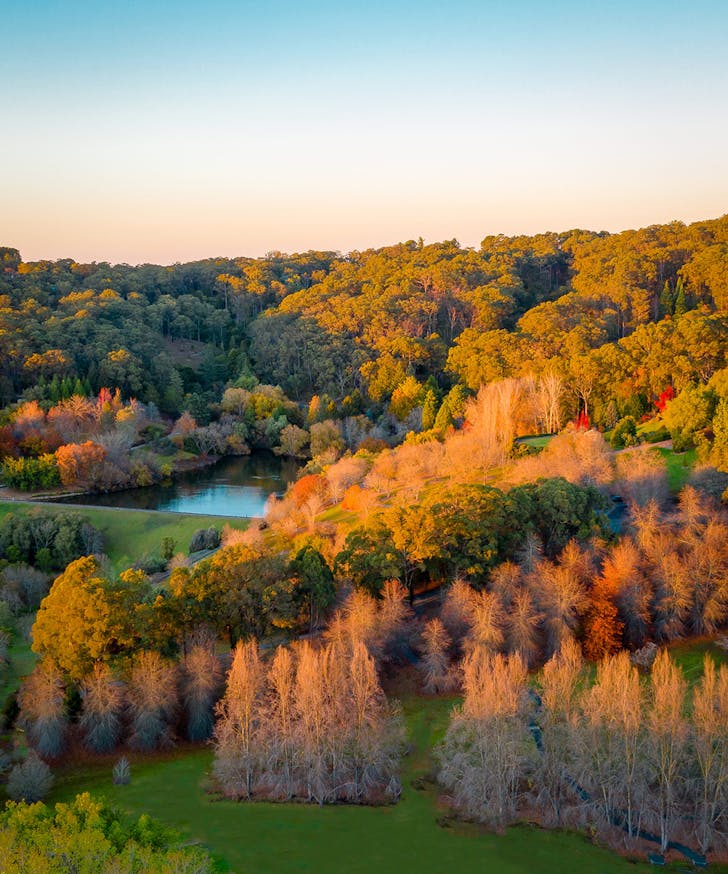 Mount Lofty Botanic Garden