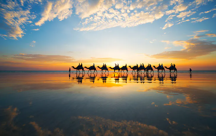 the outline of a line of camels walking the beach at Broome at sunset.