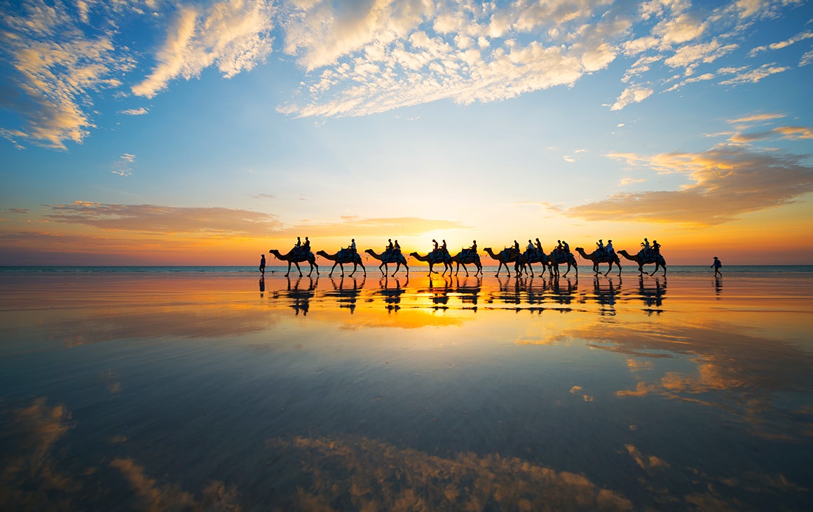 the outline of a line of camels walking the beach at Broome at sunset.