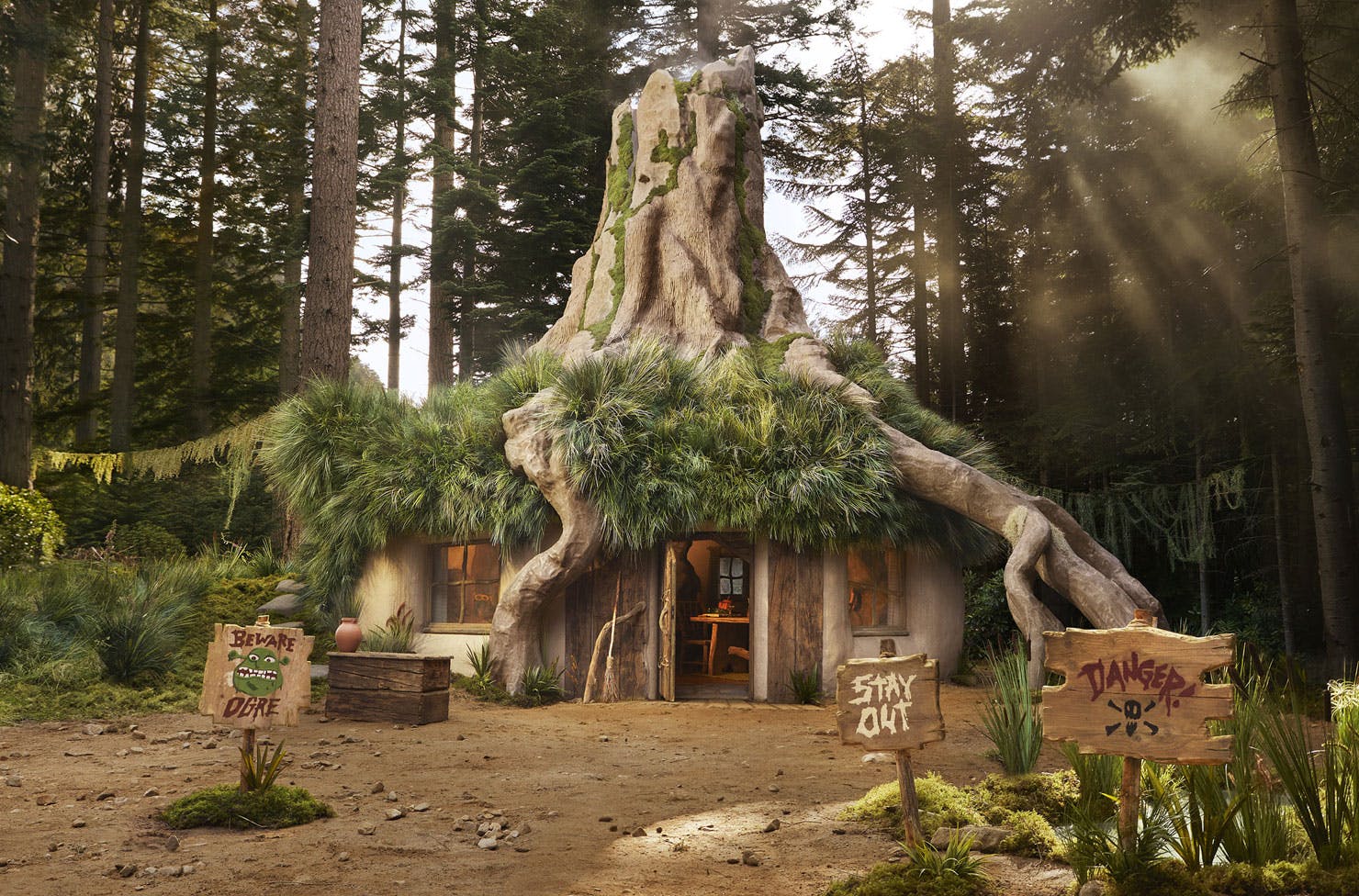 a house built into the base of a tree in a swamp