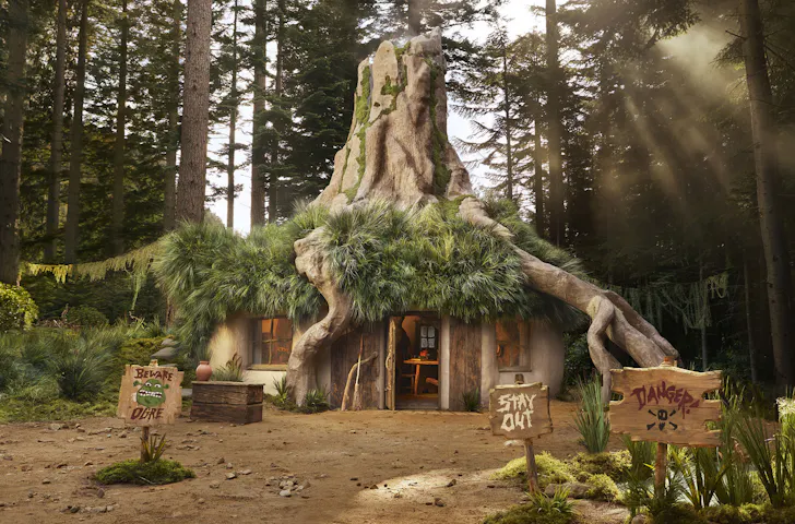 a house built into the base of a tree in a swamp