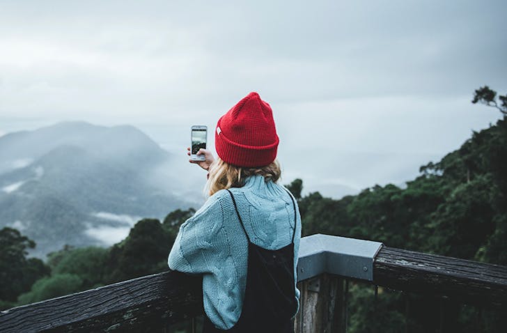 girl with phone looking out at skywalk lookout in dorrigo national parl