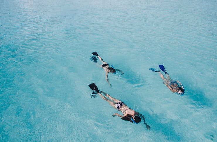 three people snorkeling