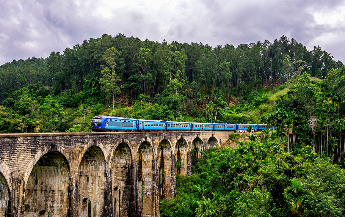 a blue train travels on a towering railway bridge in a forest.