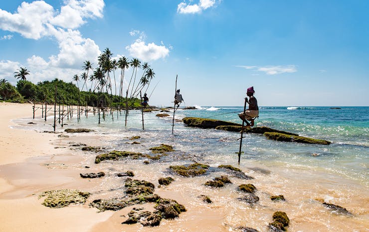a crystal clear beach in sri lanka fringed with palm trees.