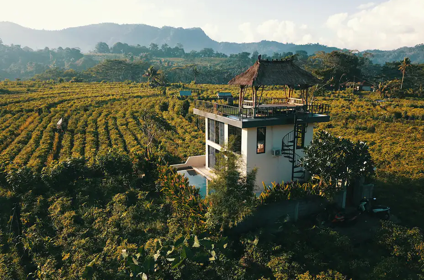 loft accomodation in bali located in the middle of rice paddy fields