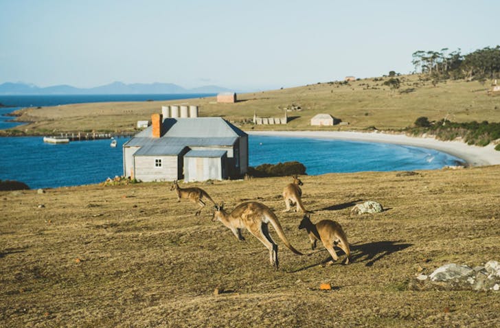 best cycling trips australia