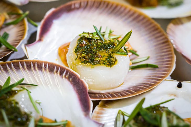 Fine dining scallops in their shell with a garnish. 