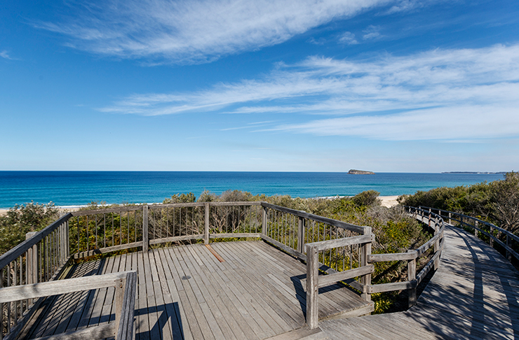 tea tree lookout