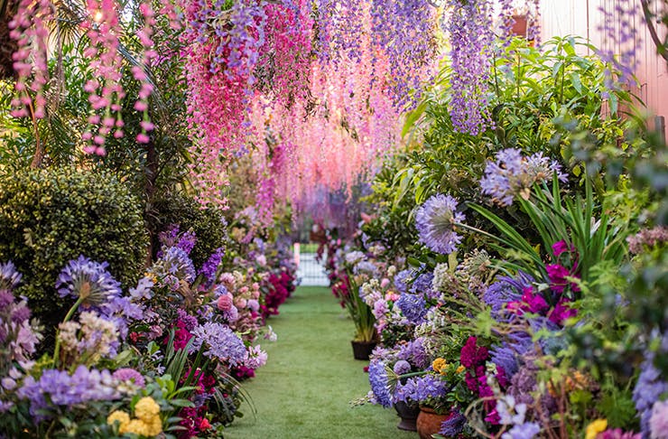 floral canopies at the grounds of alexandria