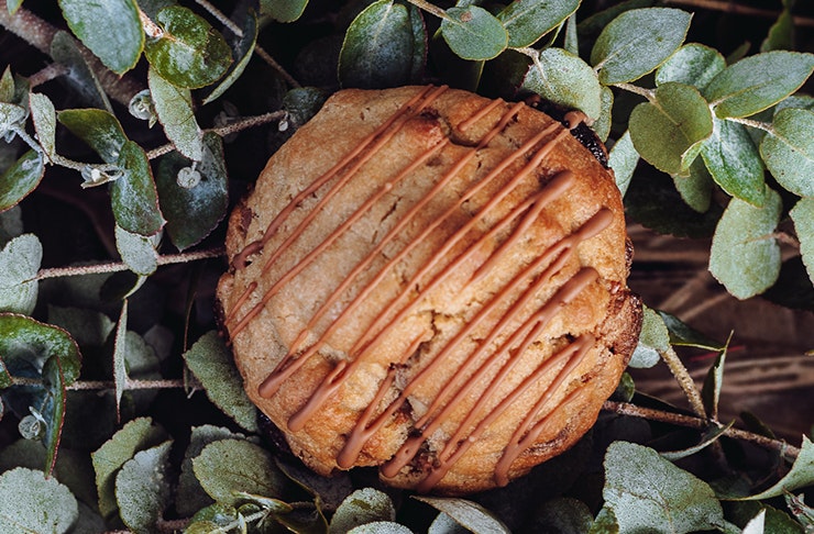cookie with caramel stripes in leavves