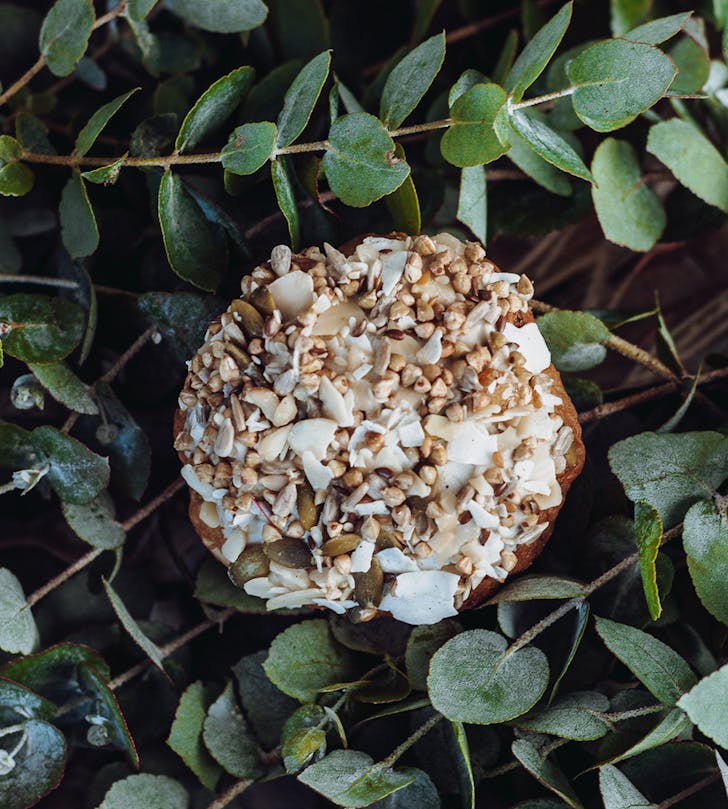 coconut cookie among leaces
