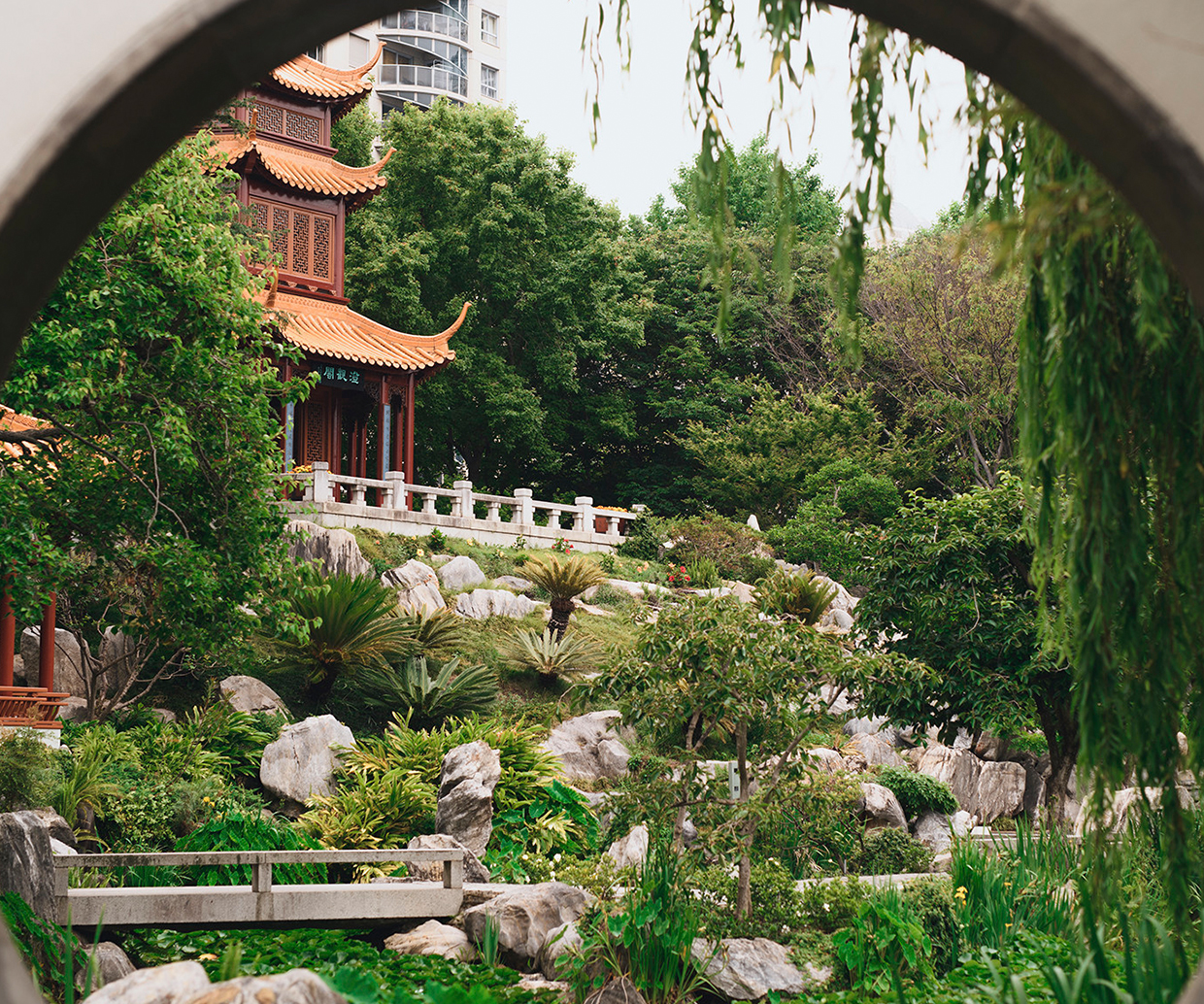 chinese garden in the city