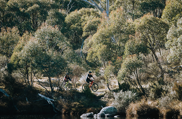 two people riding bikes on bushy track near river
