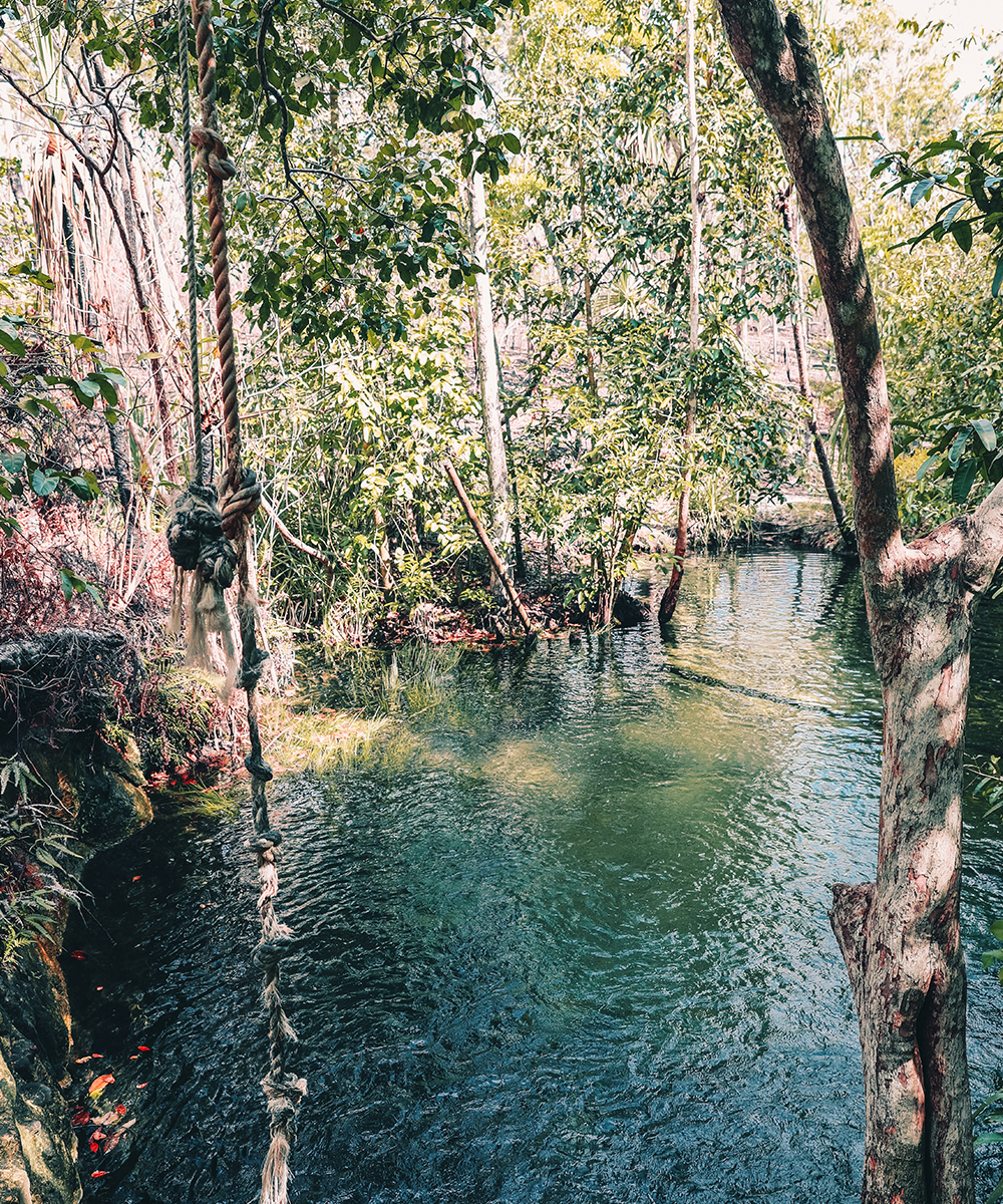 a rope swing dangles in front of a blue waterhole.