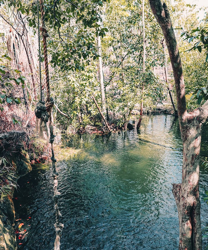 a rope swing dangles in front of a blue waterhole.