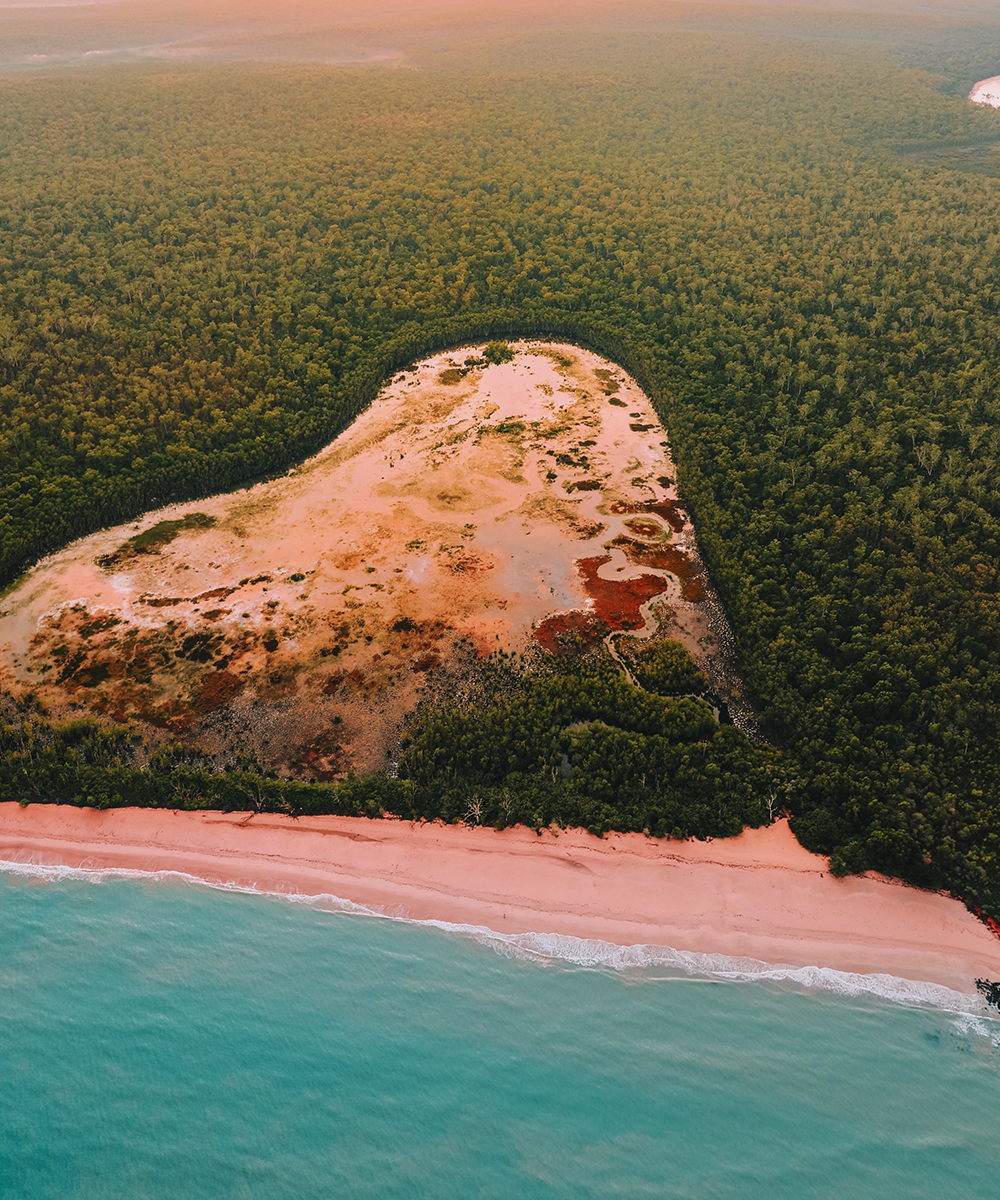 tours to tiwi islands northern territory