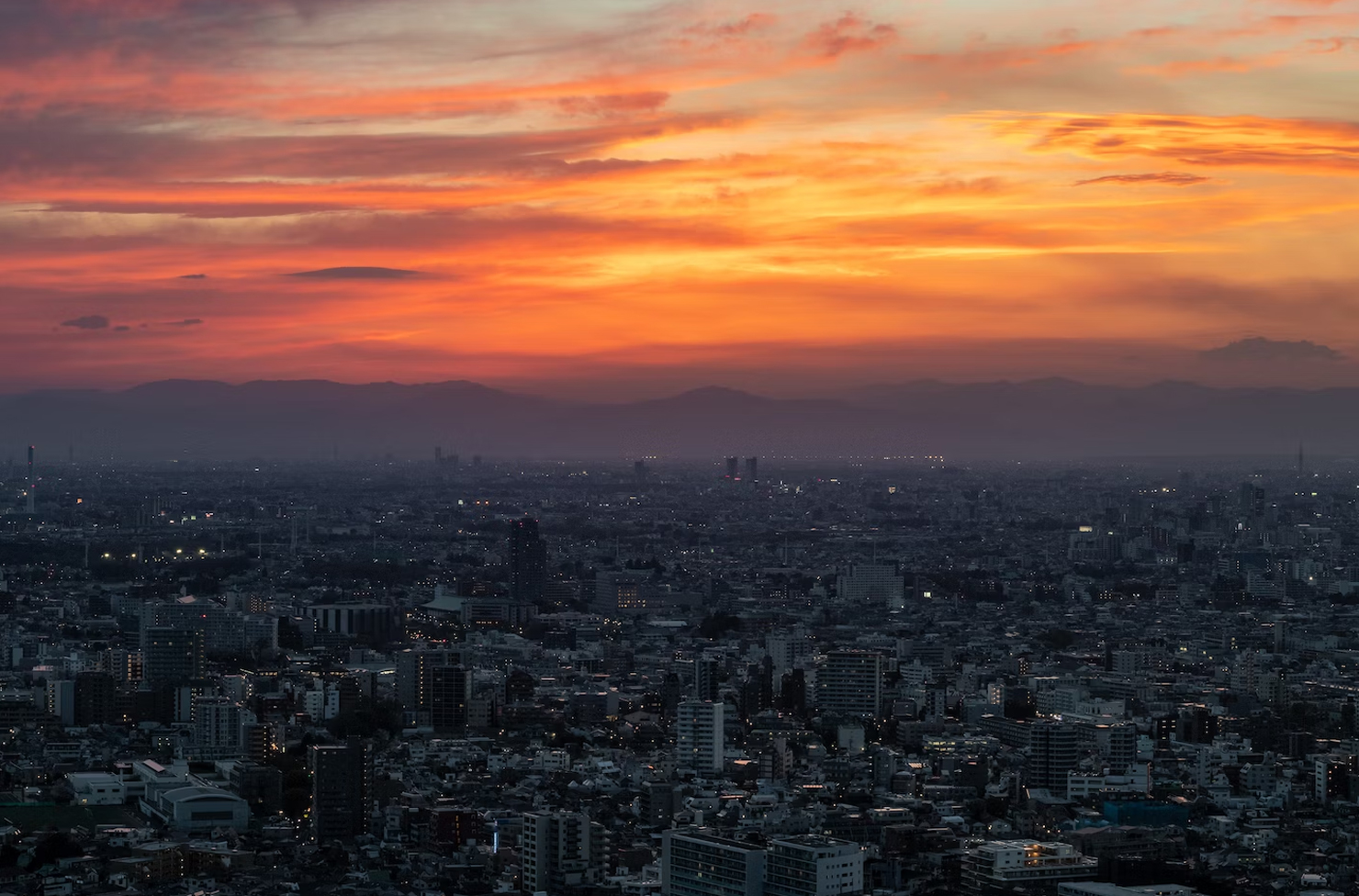 Tokyo Setting From Onsen Dips To Ramen Hits—Here's The Best Things To Do In Tokyo ...