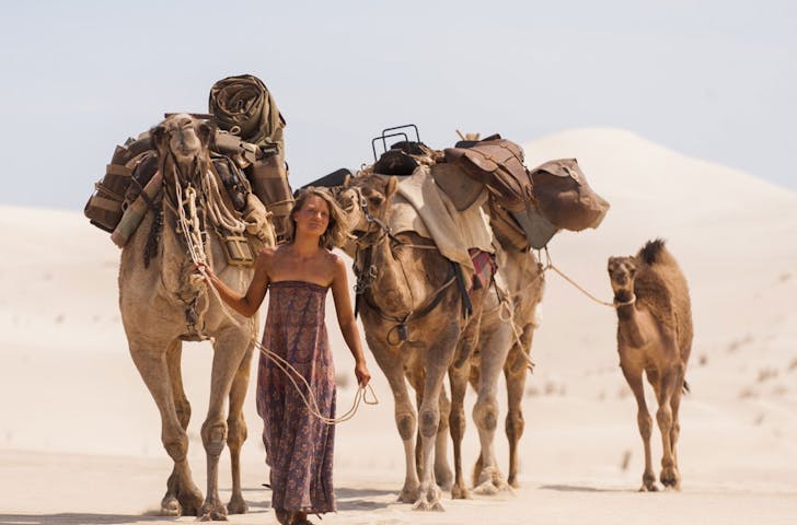 a person in the desert leading camels