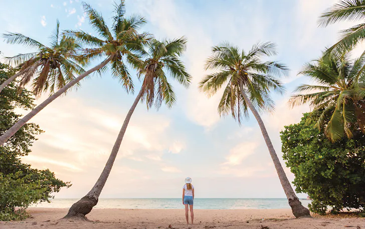 a woman walks on the beach, surrounded by towering palm trees