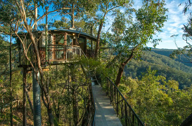 blue mountains treehouse with suspensed pathway leading to front door