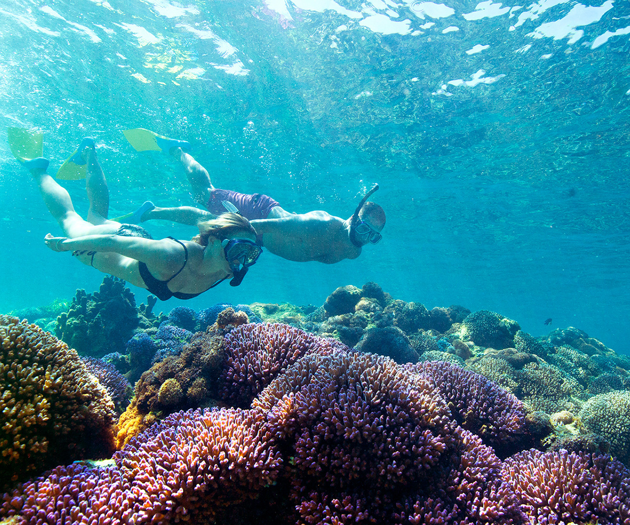 Reef tourism. Сноркелинг в Египте.