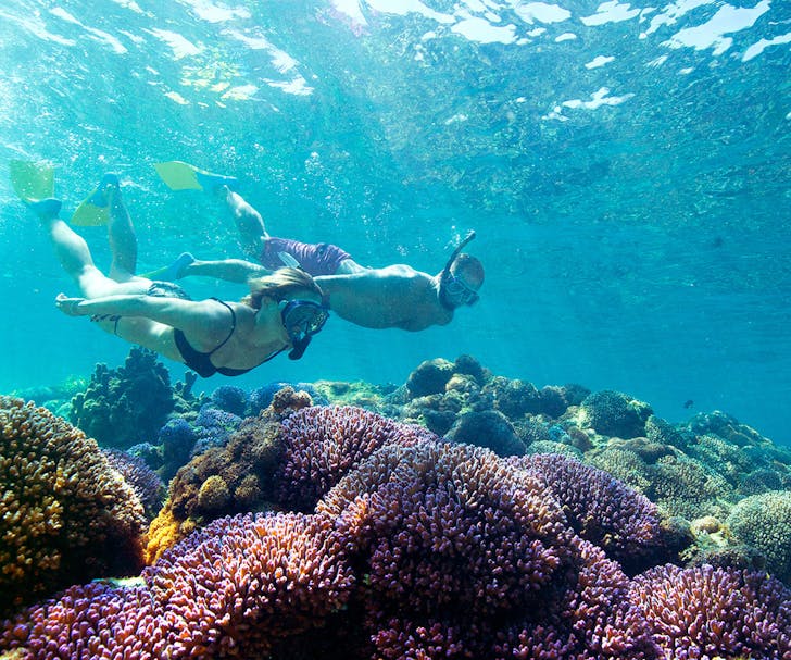 two people snorkelling