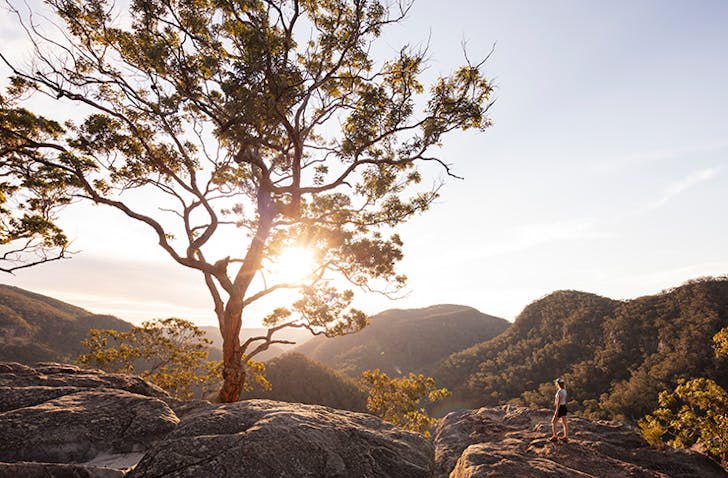 vale of avoca lookout at sunset
