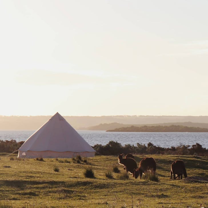 glamping kangaroo island