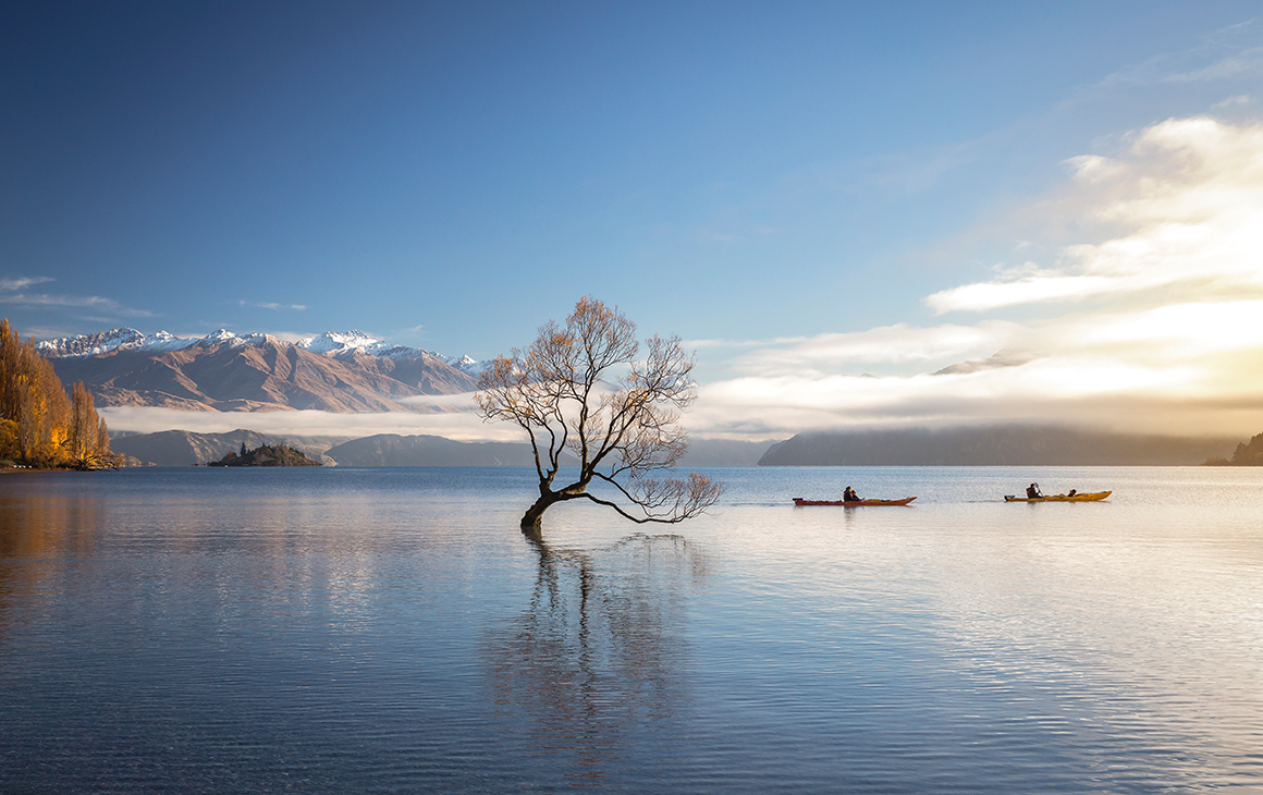 a tree in the middle of stunning lake wanaka. In the background a couple kayaks over the still lake.
