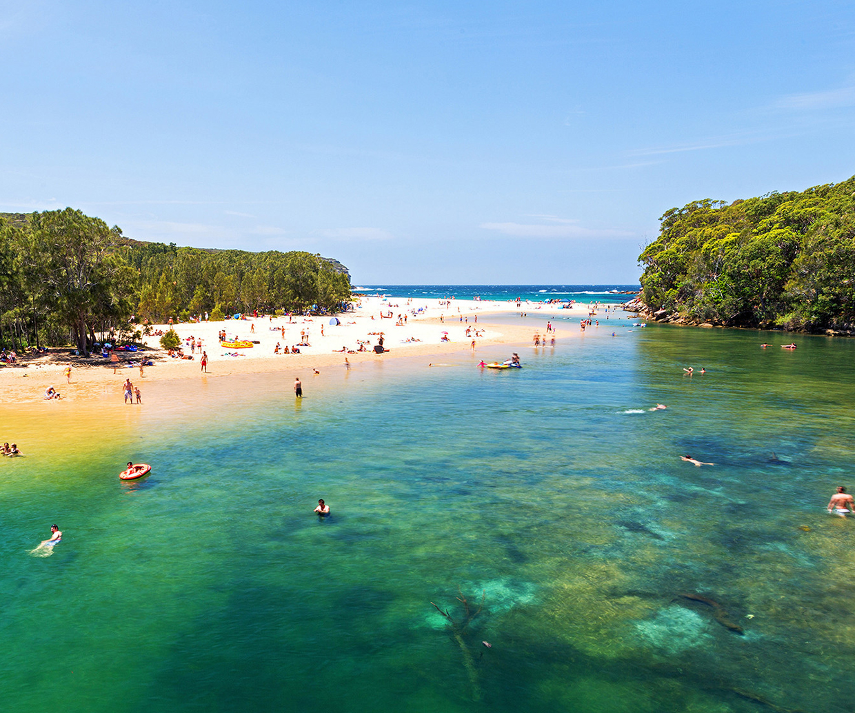 best sydney beaches wattamolla beach